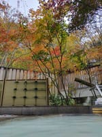 栃木県塩原温泉の紅葉も始まりました。