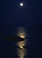 来週は中秋の名月9-29・・・、２０余年間の積重ね：松島の月見船事業に終止符。