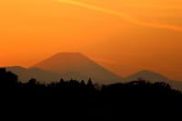 写真３枚は、夕暮れの富士山、夕暮れの多摩川、亜細亜大学の銀杏並木