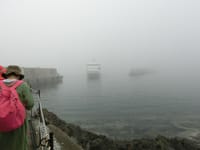 知床遊覧船ツアーに行ったけど、濃霧で中止。何のために行ったんだろう？