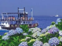 海と紫陽花&おしゃべりランチ会