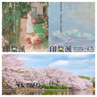 印象派　モネからアメリカへ＆🌸上野恩賜公園の桜～東京大学散策