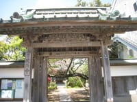 第１回、春の鎌倉「頼朝」ゆかりの寺社巡り