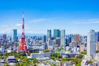 東京タワーと芝公園の散策をご一緒に如何ですか？
