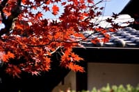 京都の古刹