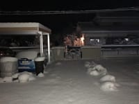 仙台も何年ぶりかの 大雪です‼️