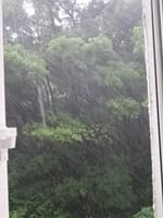 梅雨もまた楽し(18) 今年七回目の徳島牟岐別荘暮らし、昨日はこちら四国南部でも一日200ｍｍの大雨でした