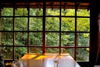 紅葉Season～森の中の古民家カフェ茂庵～銀閣寺～京都府立植物園