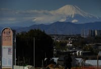 横浜市から見る富士山