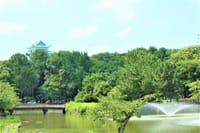 厳しい暑さ中の「名古屋城」　「名城公園」目指して☀☀
