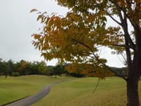 ＜９／１８＞　９月になれば・・・・・爽やかな風を浴びながら・・・「吉井南陽台ゴルフコース」