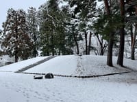 ３月の「多賀城廃寺跡」の冬景色