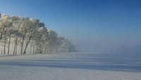 雪原の朝の不思議な景色