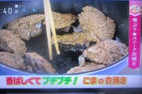 「富士山初冠雪⛄今年２回目?!」「タケノコ煮物とワカメの餡かけ」＆「鰤のゴマ衣焼き菜花油揚げ和え」