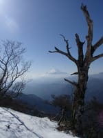 厳冬期、西丹沢盟主の檜洞丸