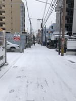 福岡市、博多区2枚、早良区1枚、10時前の映像,積雪2センチ