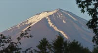 6月10日の富士桜高原