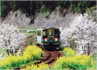 南房総のローカル列車で、春を探しに♪♪♪