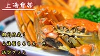 （愉快）12月末までしか味わえない珍しい「上海蟹」をまるまる一匹★《豪華上海蟹宴会コース全10品》実店舗提供価格7,300円が【3,650円】濃厚な蟹味噌は食べる価値あり