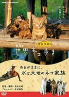 「劇場版　岩合光昭の世界ネコ歩き　あるがままに、水と大地のネコ家族」