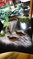 【MD♪】京都鴨川 ✩ 高級料亭『幾 松』納涼床料理で京涼風を感じましょう🎐