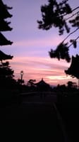 コラボ　紫紺の波～奈良　興福寺五重塔