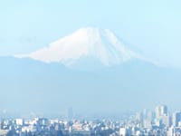 写真は、富士山、大井町線、目黒線、スカイツリー、六本木ヒルズ、東京タワー