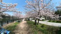大阪城公園（２０２２年３月３０日）Insta360 ONE X2