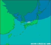 シークワサー収穫3回目・12月5日今朝の気温4.9℃