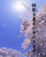 『日々の俳句』桜吹雪