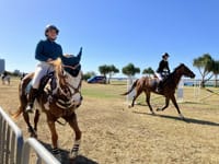 Equestrian:馬術競技