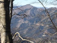 ブナが芽吹く春、北丹沢の山～道志の山塊への山旅（１泊２日）