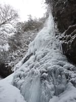 大自然の氷の芸術　「御舟の滝」の氷瀑