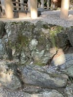 熱田神宮の苔