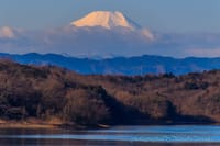 早朝の狭山湖と富士山