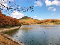 紅葉の有馬富士公園