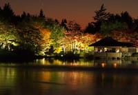 昭和記念日本庭園ライトアップ
