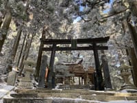 初詣🎍京都の『愛宕山』🌄