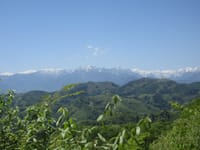 慎重に登った新緑の大姥山 1003m（５月５日）