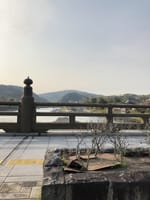 京都宇治川 宇治橋の工事が終わりを迎えています。