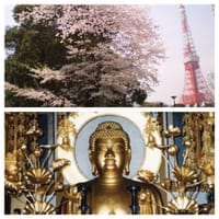 🌸桜見物と荘厳な美仏巡礼。　知るほどに深まる仏像の世界。