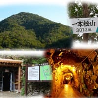 一本松山(猪名川富士)、大日山ハイキングと多田銀銅山をボランティアガイドさんに案内してもらいます