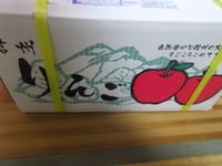 信州リンゴ「サンふじ」