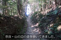 奈良・山の辺の道を歩いてきました。