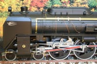 ザ・紅葉と蒸気機関車Ｃ６２