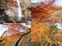 　箕面の紅葉と大滝