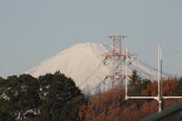ザ・ベランダから見える今朝の富士
