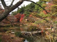 六甲山の秋景色