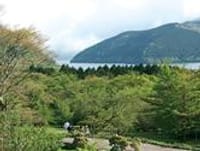 小田急便乗企画「箱根ビジターセンター周辺」箱根の自然観察コース