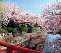 さわやかウォーキング　桜舞う水都・大垣と春の芭蕉祭